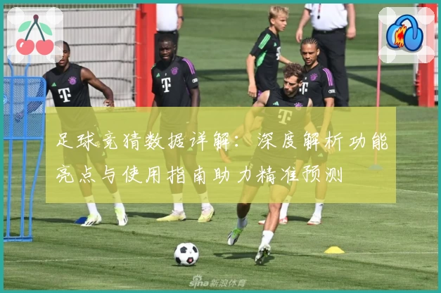 足球竞猜数据详解：深度解析功能亮点与使用指南助力精准预测