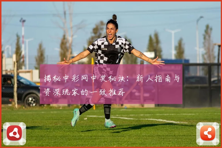 揭秘中彩网中奖秘诀：新人指南与资深玩家的一致推荐