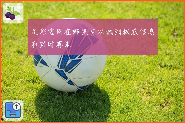 足彩官网在哪里可以找到权威信息和实时赛果