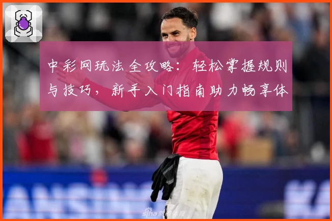 中彩网玩法全攻略：轻松掌握规则与技巧，新手入门指南助力畅享体验